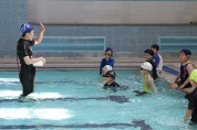 용인도시공사 초등생 무료 수영 교육